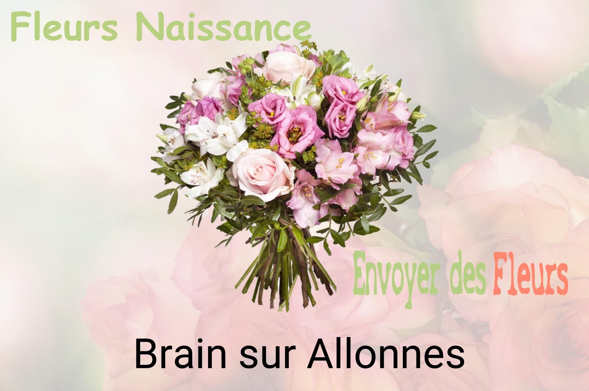 Bouquet de fleurs de naissance livré à Brain-sur-Allonnes